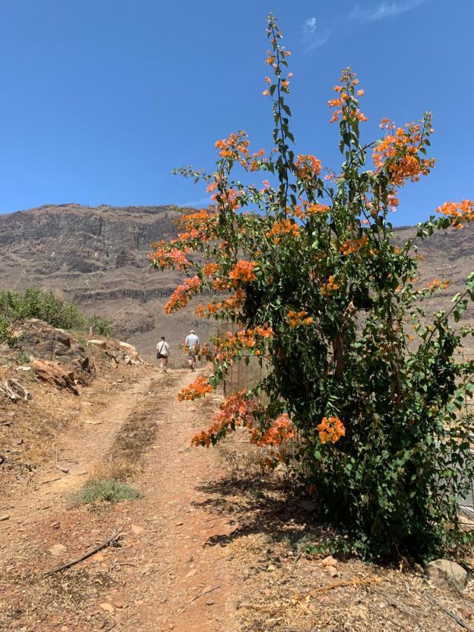 Hotel Masai Mara Resort Gran Canaria San Bartolomé Eksteriør billede